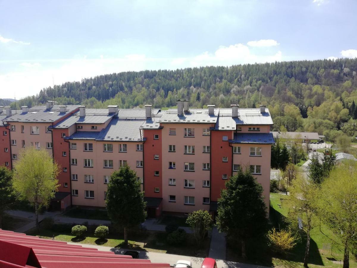 Apartamenty Bieszczadzki Aniol Ustrzyki Dolne Exterior foto